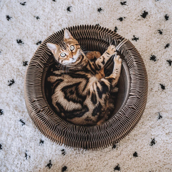 District 70 MAZE – extra productfoto 1