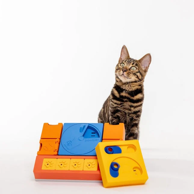 Pawzler Curious Cat Set – extra productfoto 1