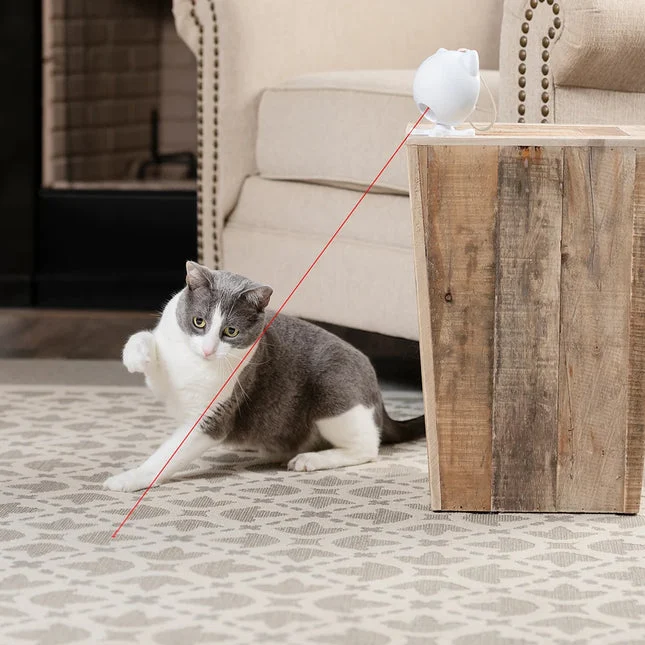 PetSafe Dancing Dot Laser Cat Toy – extra productfoto 1