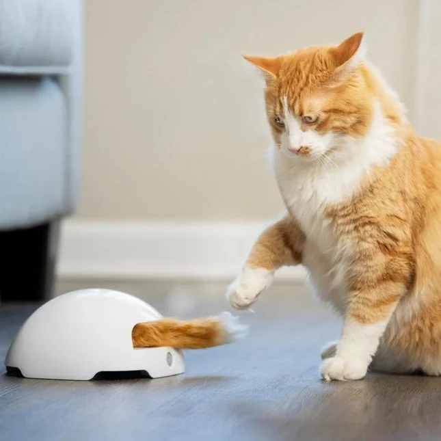 PetSafe Fox Den Toy Automatic Cat Teaser – extra productfoto 1