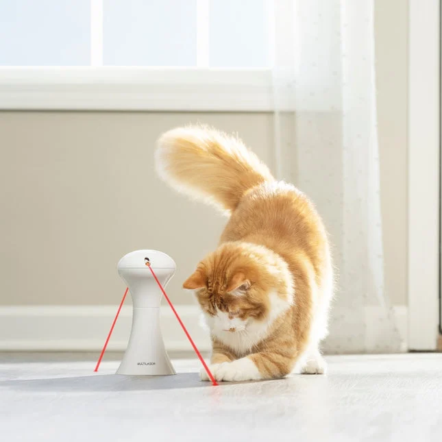 PetSafe Multi-Laser Toy – extra productfoto 1