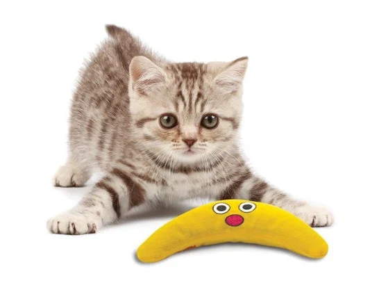 Petstages Catnip Boomerang Buddy – extra productfoto 1