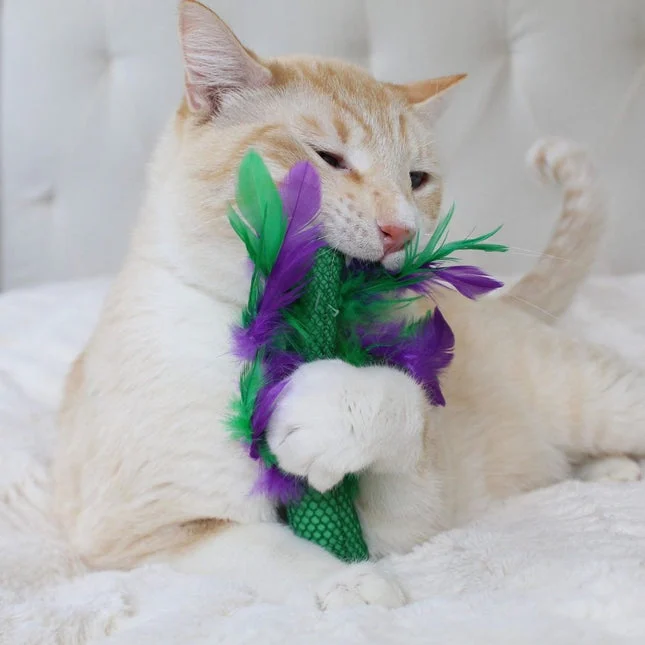 Petstages Krazy Kale – extra productfoto 1