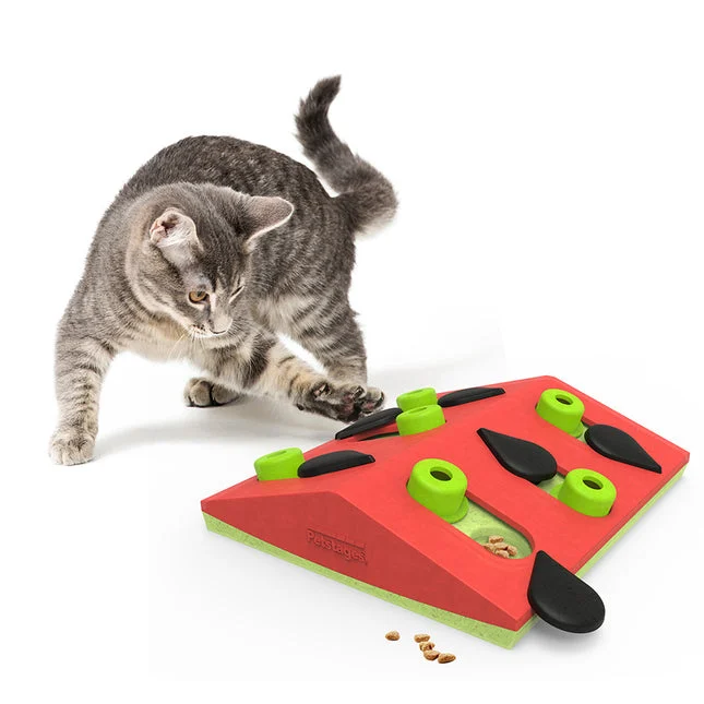 Petstages Melon Madness Puzzle & Play – extra productfoto 1