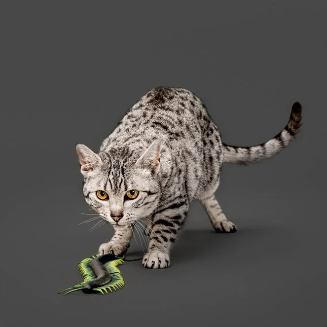 Playology Centipede – extra productfoto 1