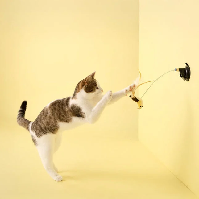 Playology Suction Cup Spring Bird – extra productfoto 1
