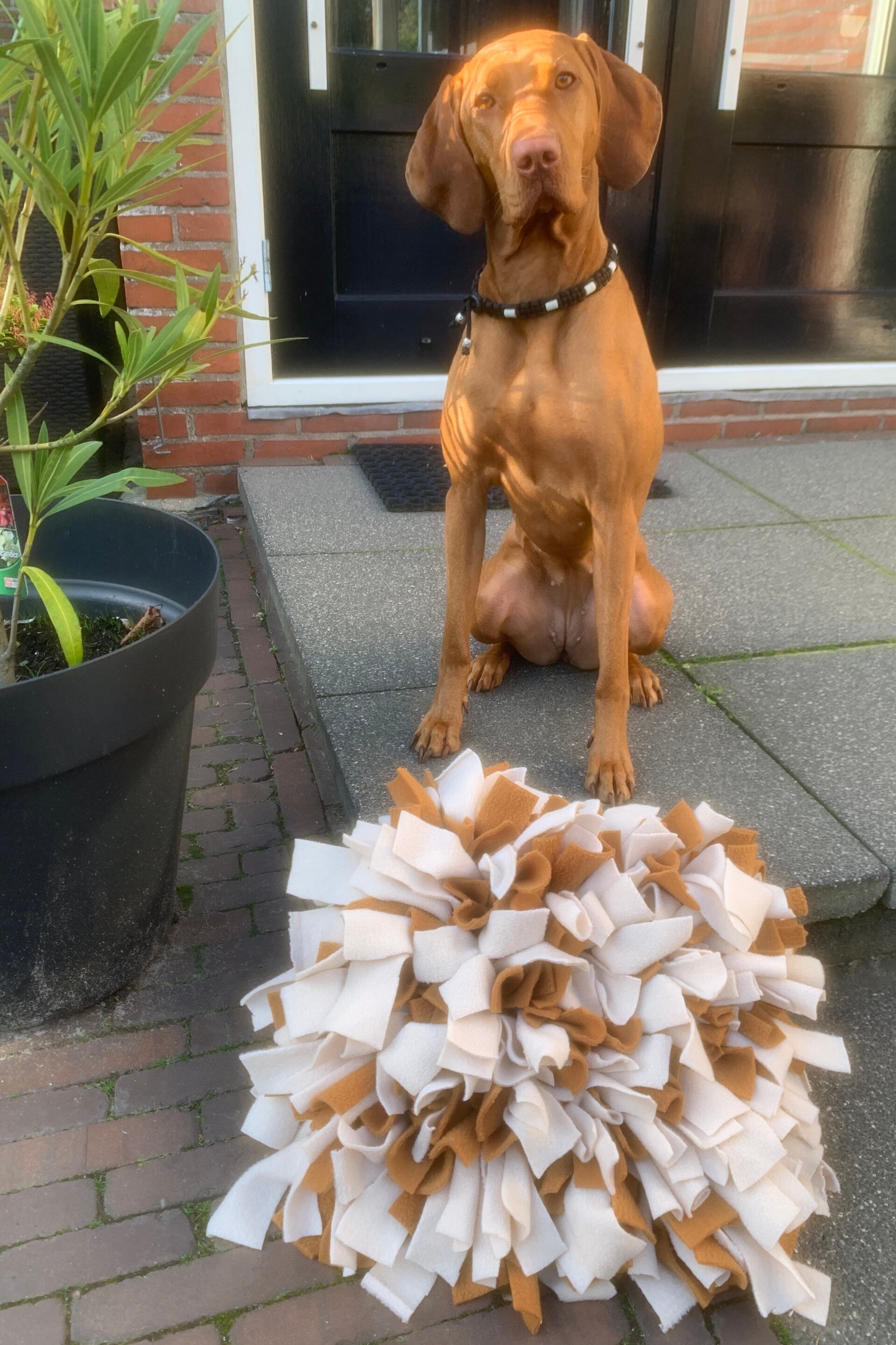 Een hond bij een handgemaakte snuffelmat